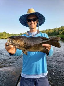 Smallmouth Bass from St. Croix River